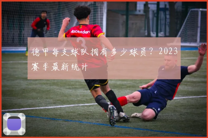 德甲每支球队拥有多少球员？2023赛季最新统计
