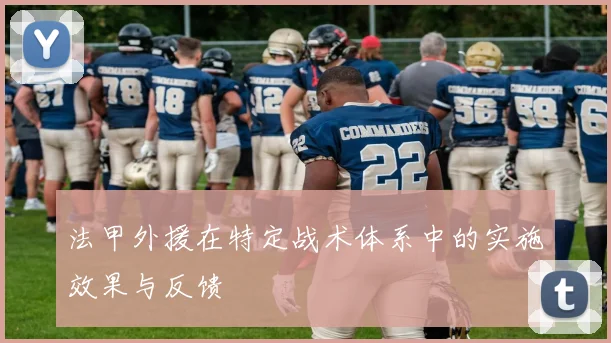 法甲外援在特定战术体系中的实施效果与反馈