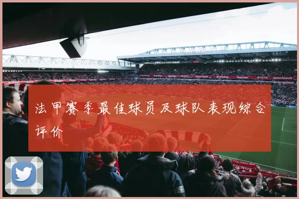 法甲赛季最佳球员及球队表现综合评价