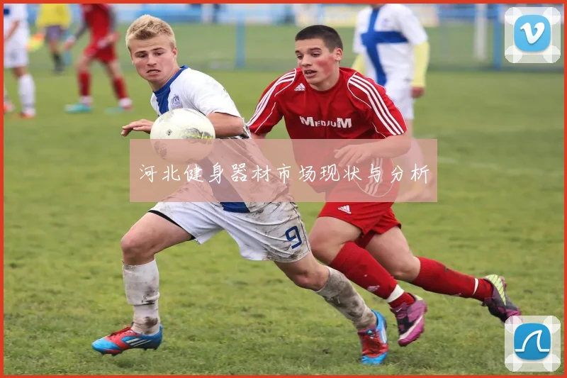 河北健身器材市场现状与分析